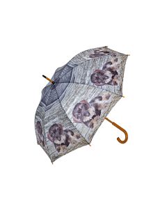 “Wire-Haired Dachshund umbrella with dog print and wooden handle – Cheshire Gun Room Stockport”

